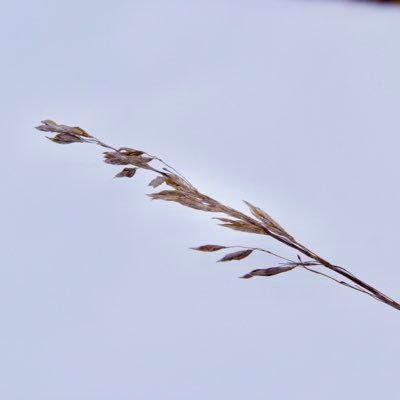 Profile Picture of Isaac Tyson (@sandcreek12345) on Twitter