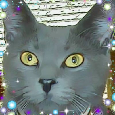 Profile Picture of Toby Cobb (@TobyannCobb) on Twitter