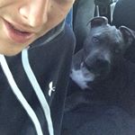 Profile Picture of Karl Simon (@karl.smn420) on Instagram