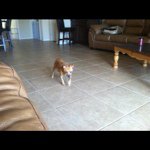 Profile Picture of ameliahester (@ameliahester) on Instagram