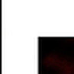 Joel Kingham - Flickr Profile Picture of Joel Kingham (@joel kingham) on Flickr