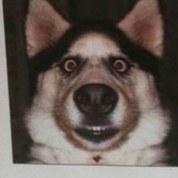 Quentin S - Poshmark Profile Picture of Quentin S (@quentins1) on Poshmark