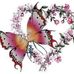 Profile Picture of Sarah Pollack (@sarah.pollack.908132) on Facebook