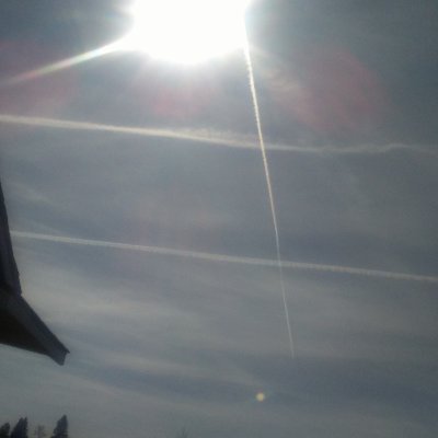 Lyle Hayes - Twitter Profile Picture of Lyle Hayes (@lylehayes19581) on Twitter