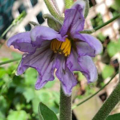 Profile Picture of Kim Correro (@CorreroKim) on Twitter