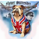 Profile Picture of David Salisbury (@salisbury2763) on Instagram