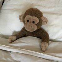 Profile Picture of Cindy Proctor (@cindy-proctor-4) on Quora