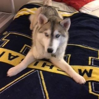 Profile Picture of Chris Wisecarver (@chris.wisecarver.9) on Facebook