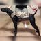 Profile Picture of Clint Martz (@clint.martz.7) on Facebook