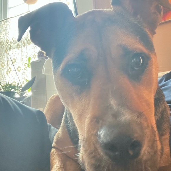 Profile Picture of J🐝 Breuler (@jebreuler) on Poshmark