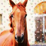 Profile Picture of Damian Bachleda (@damianbachleda) on Instagram