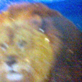 Profile Picture of Alponsus Marboen Alpon Marboen (@Alponsus-Marboen-Alpon-Marboen) on Facebook