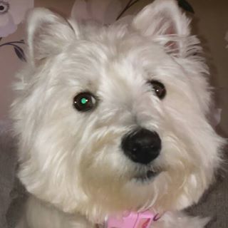 Profile Picture of Gail Read (@gail.read.397) on Facebook