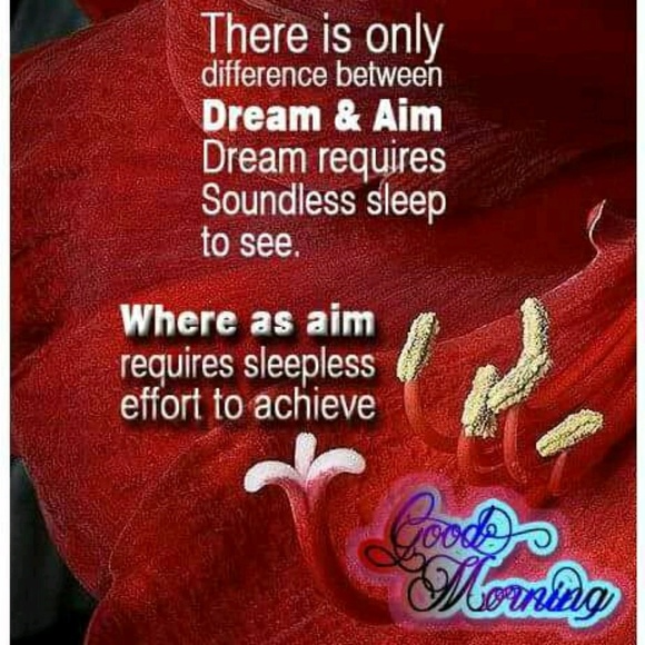 Profile Picture of Nandini Krishna (@nkrishna888) on Poshmark