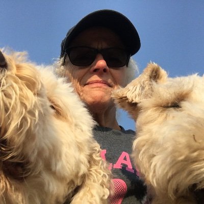 Profile Picture of Nancy Harris (@NancyHa15691547) on Twitter