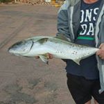 Profile Picture of Troy Macklin (@troym1210) on Instagram