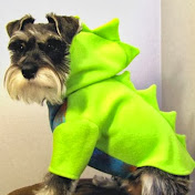 Profile Picture of Kate Potter (@katepotter3735) on Youtube