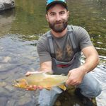 Profile Picture of Mark Gentile (@modernhuntermark) on Instagram