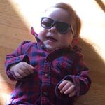 Profile Picture of Robert Wolfe (@robellobo12) on Instagram