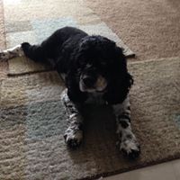 Profile Picture of Debby Baer (@debby-baer) on Quora