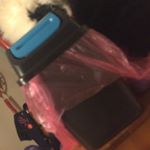 Profile Picture of Robert (@robert_the_fancy_bin) on Instagram