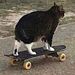 Profile Picture of John Winkowski (@johnwinkowski0057) on Pinterest