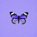 Profile Picture of Mackenzie Dutton (@dutton1586) on Pinterest