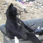 Profile Picture of James Heffley (@jamesheffley278) on Youtube