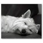 Paula Atkinson - Instagram Profile Picture of Paula Atkinson (@p.atki5) on Instagram