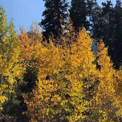 Profile Picture of Dr. Jonathan Salinas (@DrJonSalinas) on Twitter