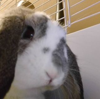 Profile Picture of Phillip Connor (@phillip.connor.142) on Facebook
