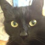 Profile Picture of Damian Reimann (@dammi83) on Instagram