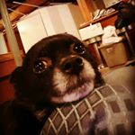 Profile Picture of Brian Coburn (@bcoburn41) on Instagram