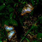 Profile Picture of Damian Gordon (@cr3media) on Flickr