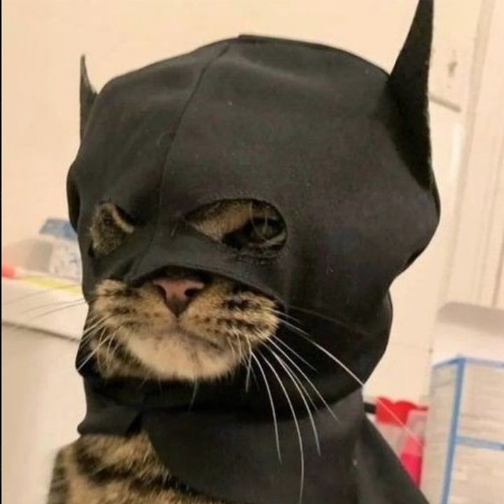 Profile Picture of carlosz (@carloszepedaaa) on Tiktok