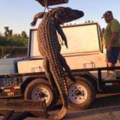 Profile Picture of Gary Viola (@blueoakwood) on Twitter