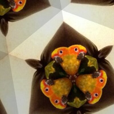 Profile Picture of Kelly Workman (@@WorkmanBuffy) on Twitter