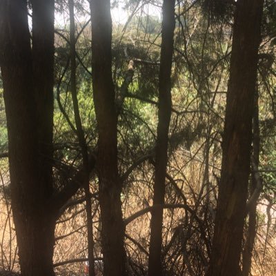 Profile Picture of Jorge Borbolla A (@JorgeBorbollaA1) on Twitter