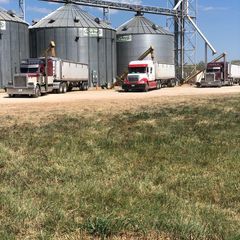 Profile Picture of Jordan Wren (@@jordanwren6) on Tiktok