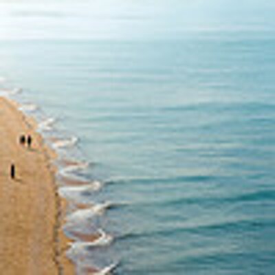 Profile Picture of James Alfaro (@jamesalfaro567) on Twitter