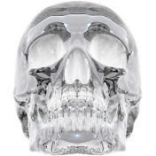 Profile Picture of Daniel Zamorano (@danielzamorano4205) on Youtube