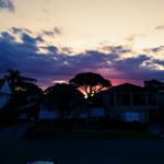 Profile Picture of Alexa5445 (@alexa.coppolino) on Instagram