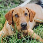 Kep And Kiewe - Instagram Profile Picture of Kep And Kiewe (@sdit.kepler) on Instagram