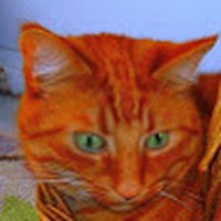 Profile Picture of Michael Mclernon (@michael-mclernon-6) on Quora