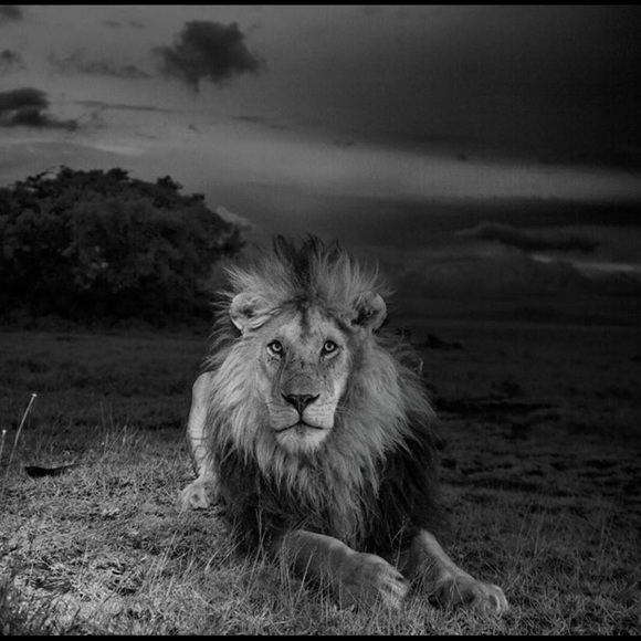 Profile Picture of Emily Shangraw (@hurricanemily1) on Poshmark