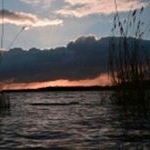 Profile Picture of Philip Burgerjon😎# photography (@philip_burgerjon) on Instagram