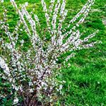 Profile Picture of Krista Dooley (@my_crazycloset43) on Instagram