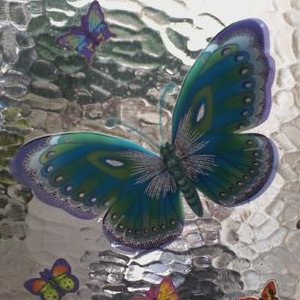 Profile Picture of Donna-Marie Card (@DonnaMarieCard1) on Twitter