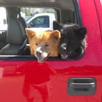 Profile Picture of Bryan Wilkins (@bryan.wilkins.1675) on Facebook