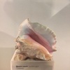 Profile Picture of wakana (@taewak) on Tiktok